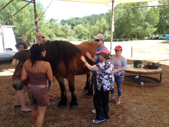 equitation adapté handicap diois drome drôme menglon.jpeg