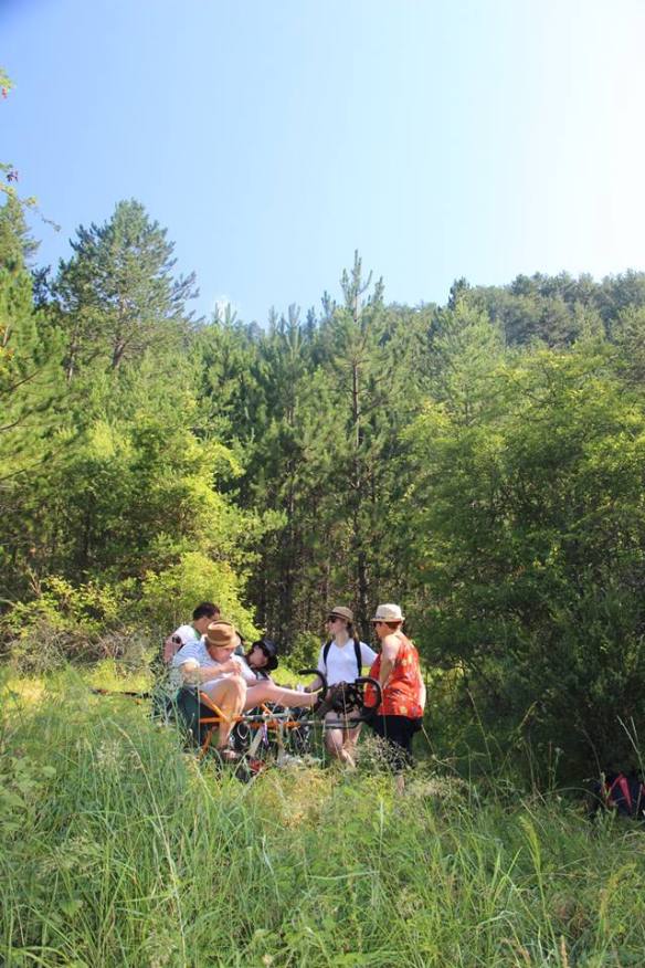 37335590_403650010039523_5802005327993896960_n