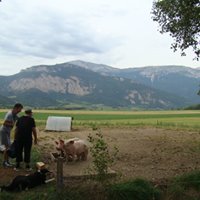 37554910_1960027107390143_4752156587450171392_n