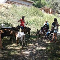 37637307_1960023594057161_3995648087384129536_n