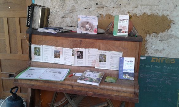 39074809_852952124914334_7368054200590139392_o