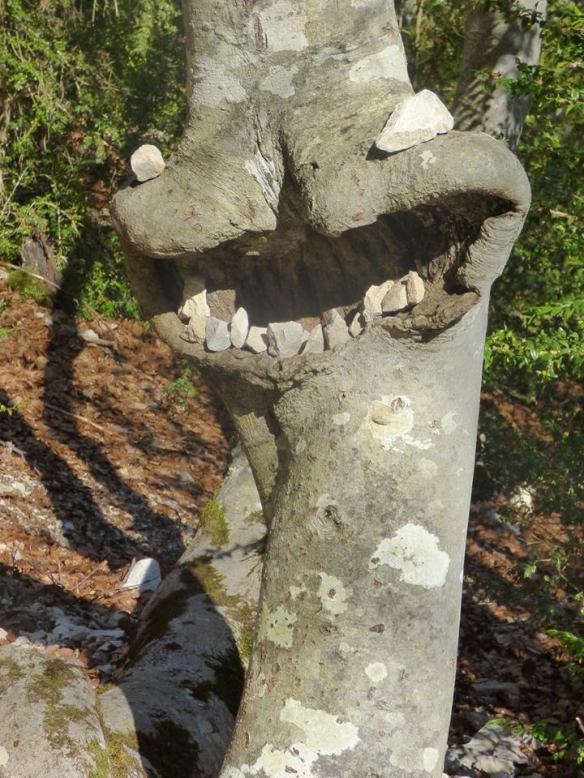 56331020_10157197754864275_6600543072348536832_n