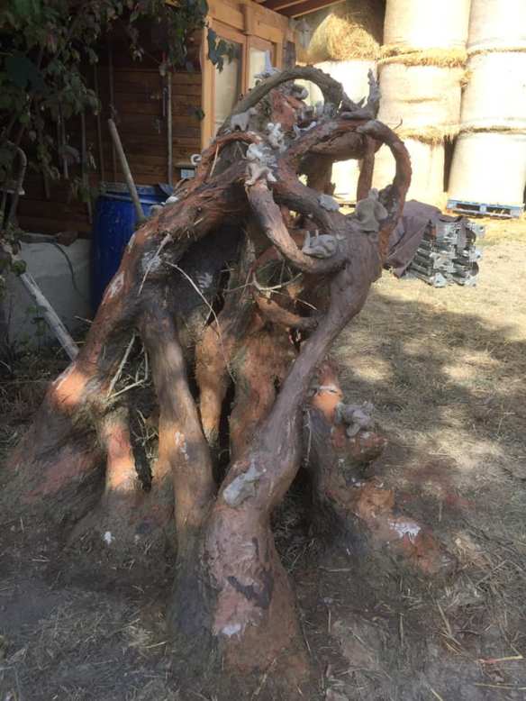 70352528_487443602096984_2166528997574311936_n