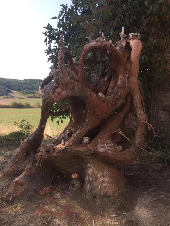 70684494_487443568763654_8105123476811022336_n